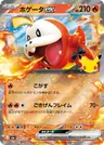 Japanese ホゲータex 009/103